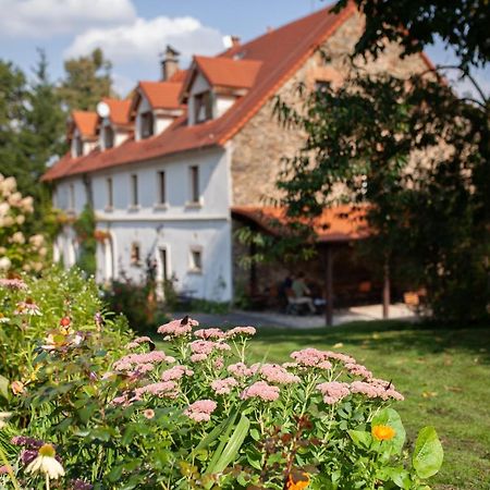 Villa Greta Świerzawa Dış mekan fotoğraf