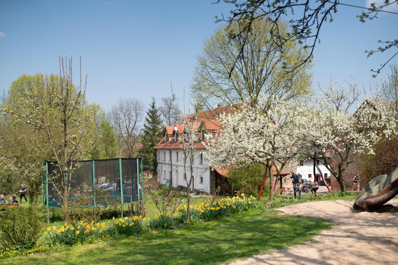 Villa Greta Świerzawa Dış mekan fotoğraf